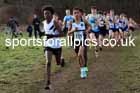 Boys Under-15s 2024 Northern Cross Country Champs., Sedgefield. Photo: David T. Hewitson/Sports for All Pics
